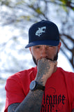 Erratic Shark mesh snapback
